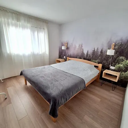 Vlasina 아파트 소코 반자