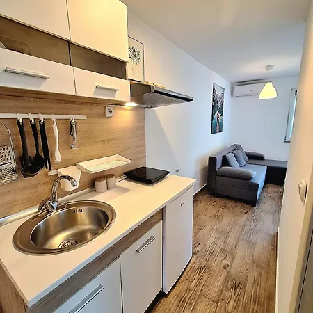 Vlasina 소코 반자