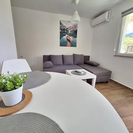 Vlasina 소코 반자