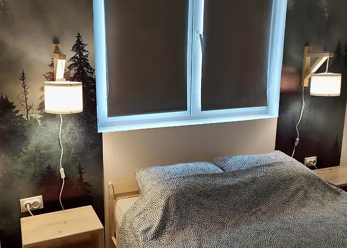 Vlasina Сокобаня