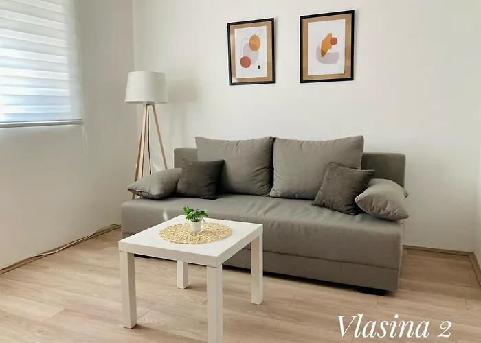 Vlasina Апартаменты Сокобаня