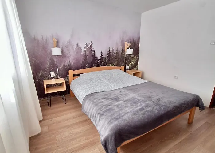 Vlasina Апартаменты