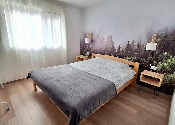 Vlasina Апартаменты Сокобаня